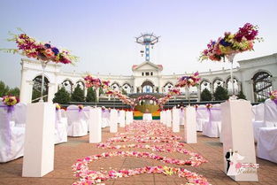 嘉美盛世 以光影定格永恒，專業(yè)主題婚禮策劃中的視覺(jué)藝術(shù)